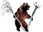 Трудолюбивый медведь