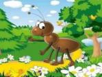 Загадки про муравья