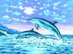 Тунец и Дельфин