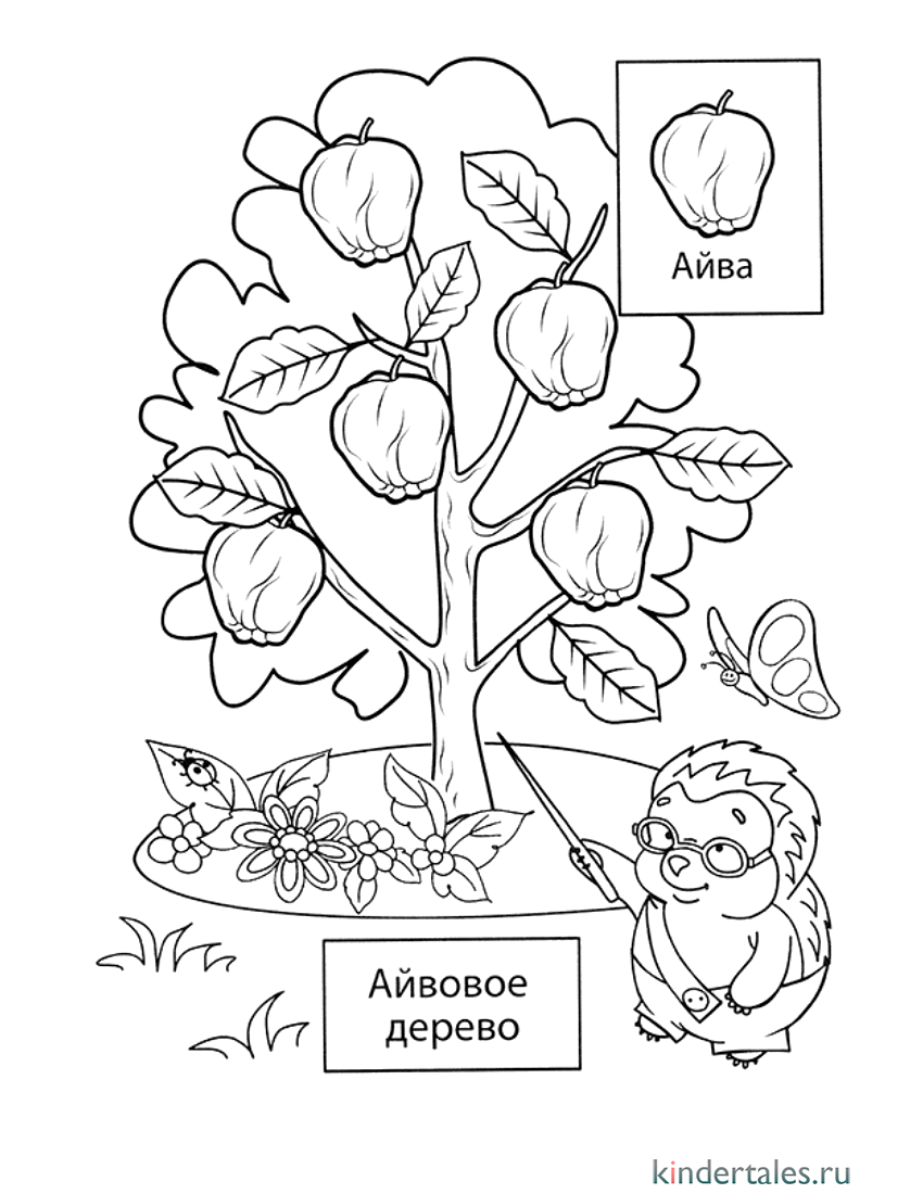 Яблоня рисунок для детей 1 класс