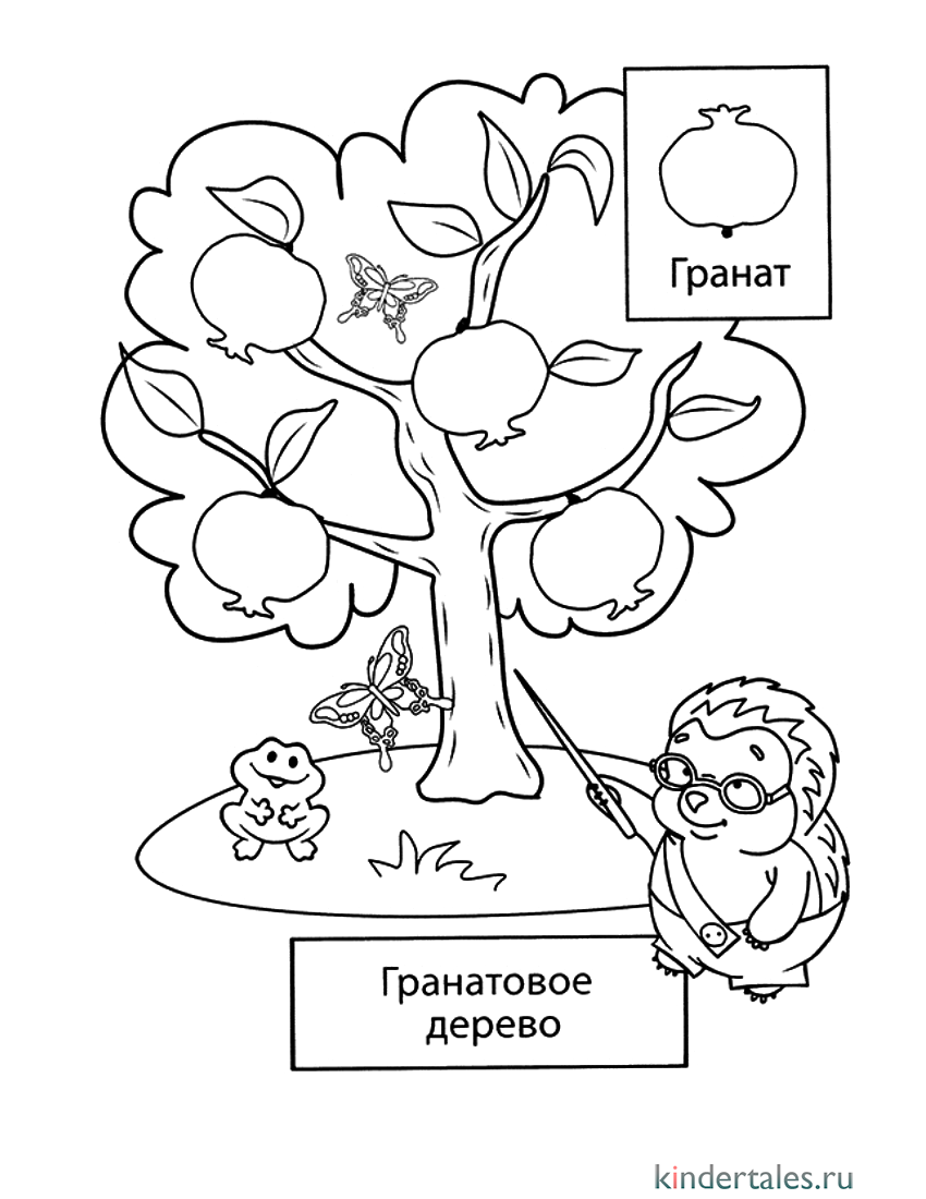 Яблоня рисунок раскраска