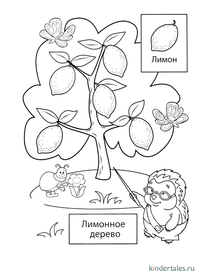 Картинки фруктовых деревьев для детей с названиями
