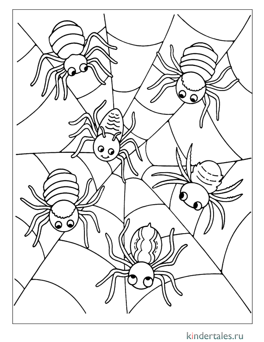 Раскраски пауки