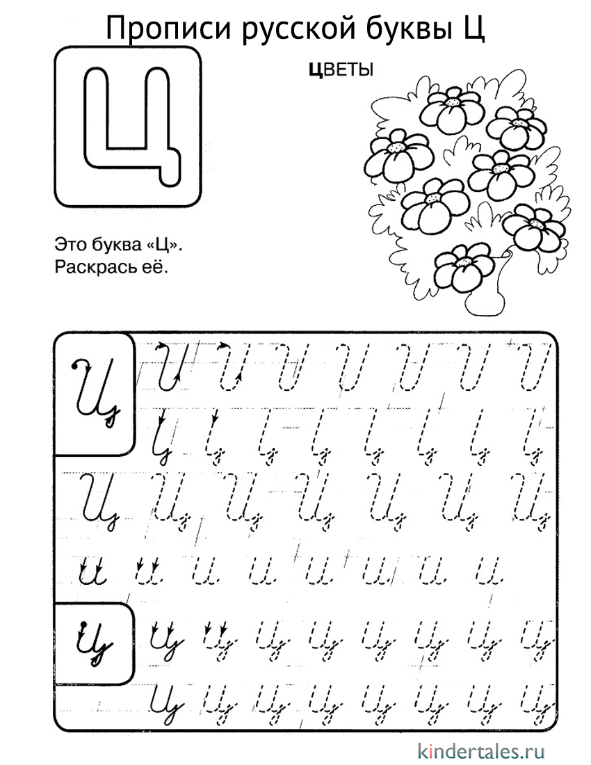 Буква Ц прописью
