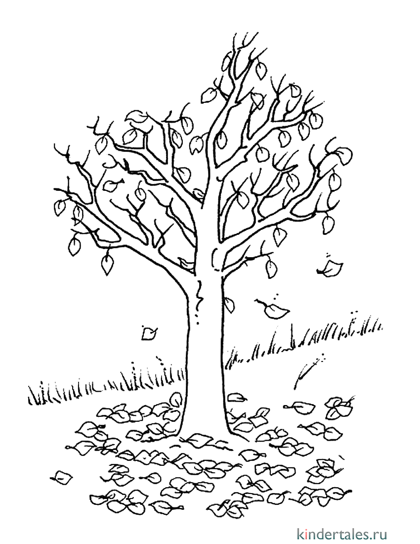Раскраска Дерево без листьев - детские раскраски распечатать бесплатно