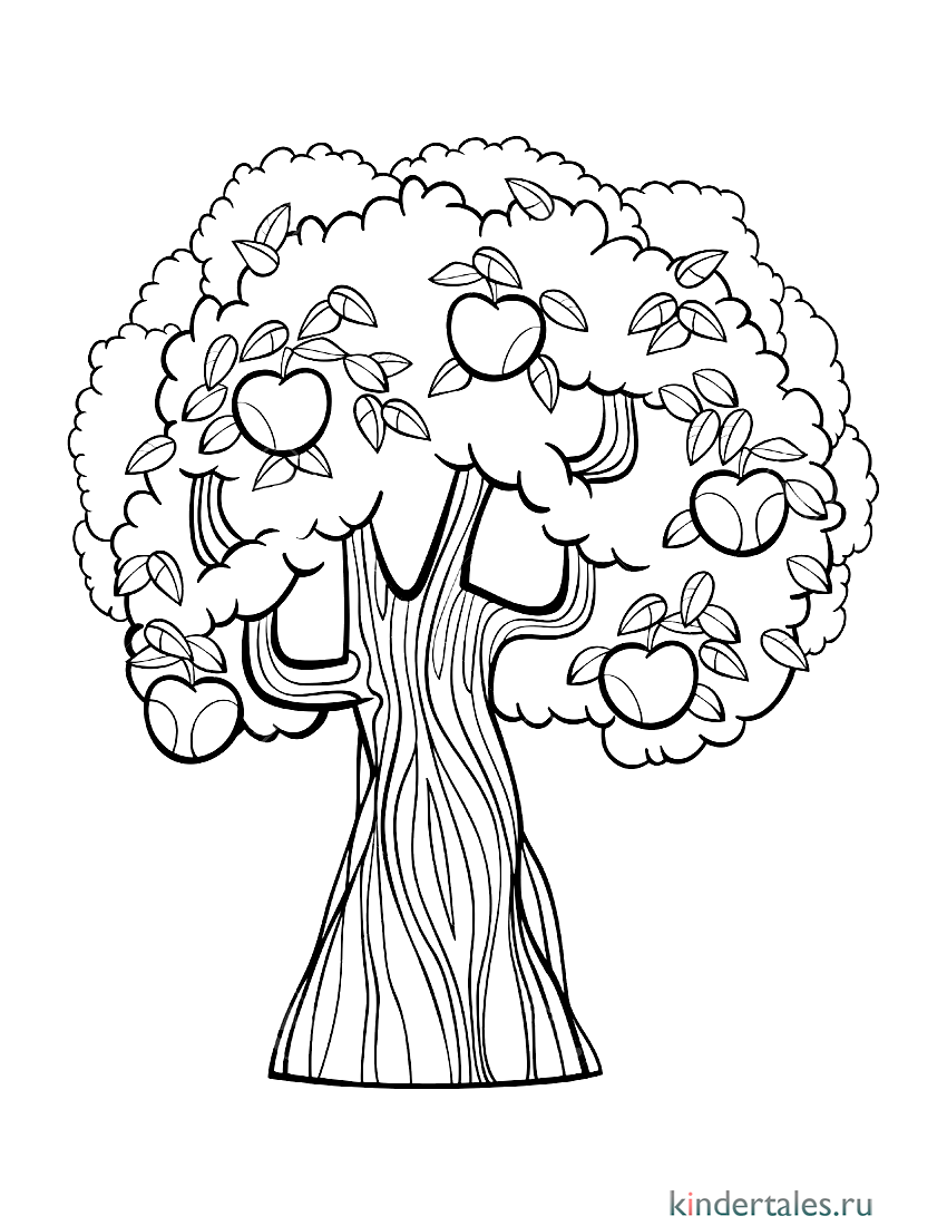 Дерево с яблоками» раскраска для детей - мальчиков и девочек | Скачать,  распечатать бесплатно в формате A4
