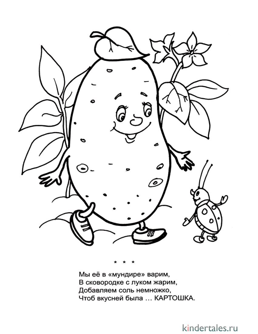 Картофель раскраска для детей