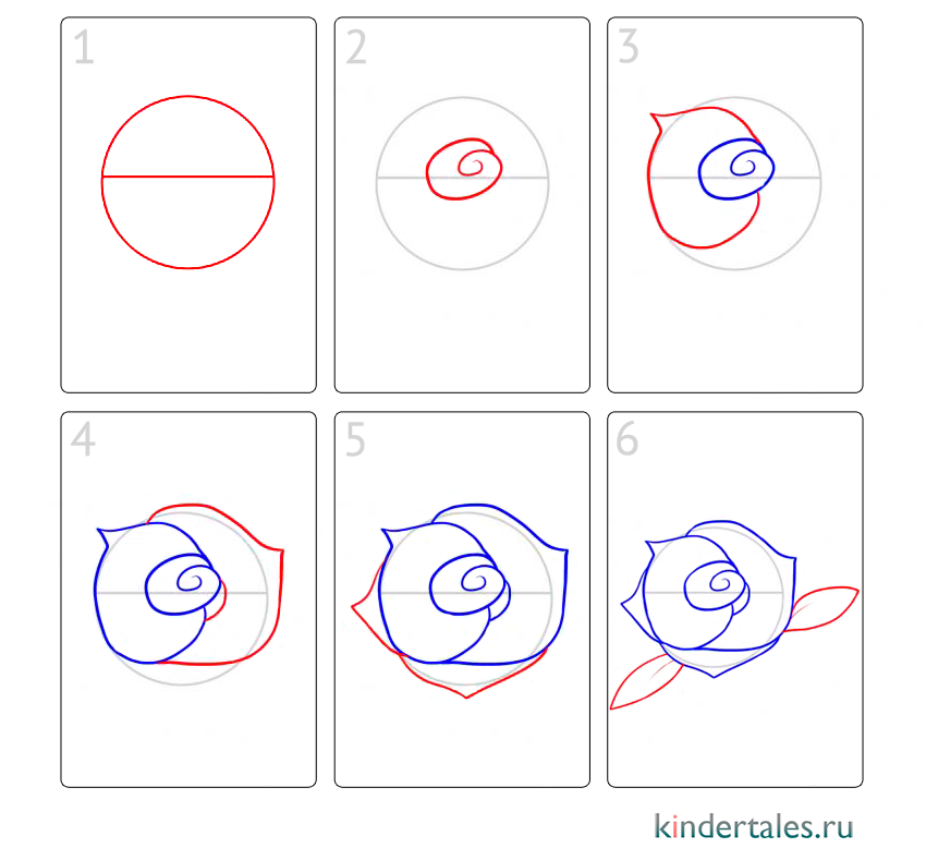 Как нарисовать розу для начинающих