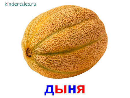 Дыня