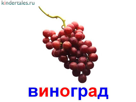 Виноград