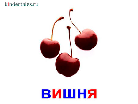 Вишня