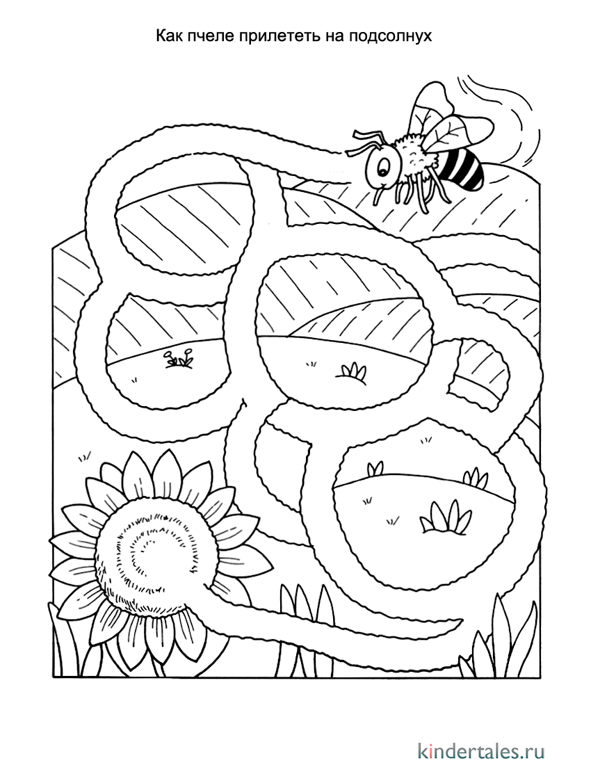 Лабиринт в поисках подсолнуха | Лабиринты для детей 3-4 года для детей |  Методики, игры, занятия для ребёнка