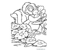 Бурундучок нюхает цветы