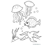 Две медузы и рыба