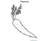 Морковь