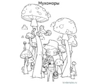 Несъедобные грибы Мухоморы