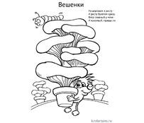 Съедобные грибы Вешенки