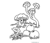 Забавный гриб