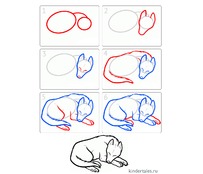 Как нарисовать спящую собаку